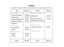 Exercices Corrigés en Comptabilité Générale  Journal, Grand Livre, la Balance et CPC.webp