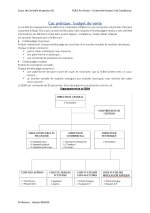 Cas-pratique-budget-des-ventes_page-0001.jpg