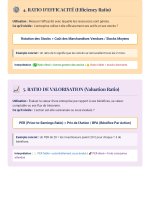 LES RATIOS FINANCIERS PDF_page-0003.jpg