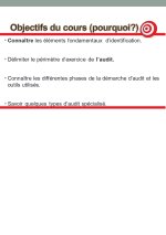 Cours d'audit général PDF_page-0002.jpg