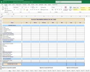 Budget de trésorerie en Excel xls.JPG