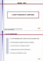 L’AUDIT FINANCIER ET COMPTABLE GUIDE COMPLET PDF.JPG